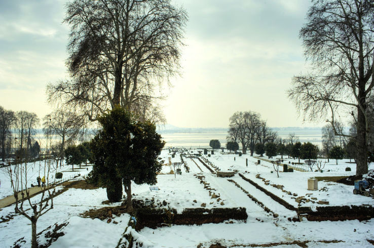 7. Mughal Gardens